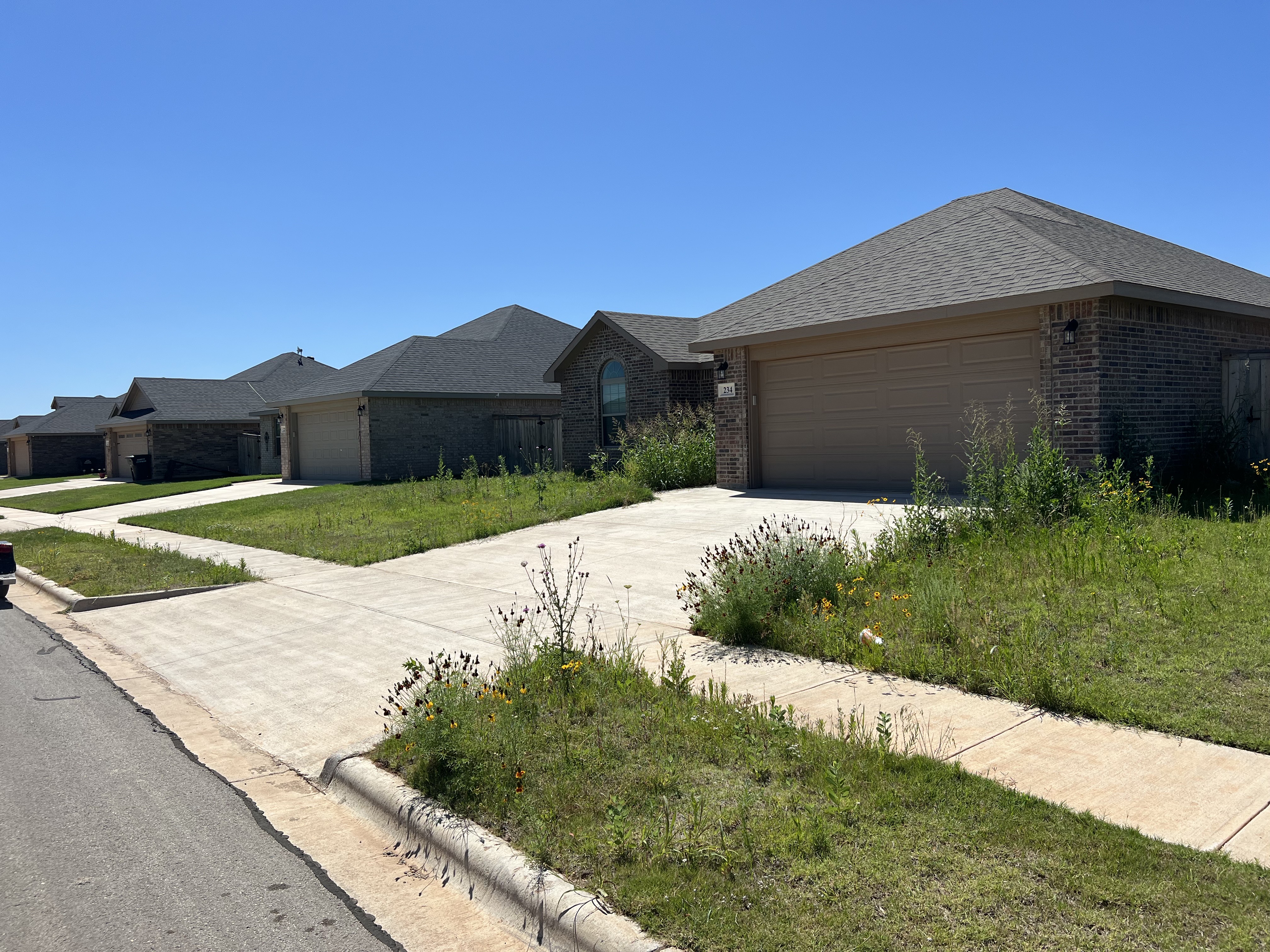 After — clean mowed yard