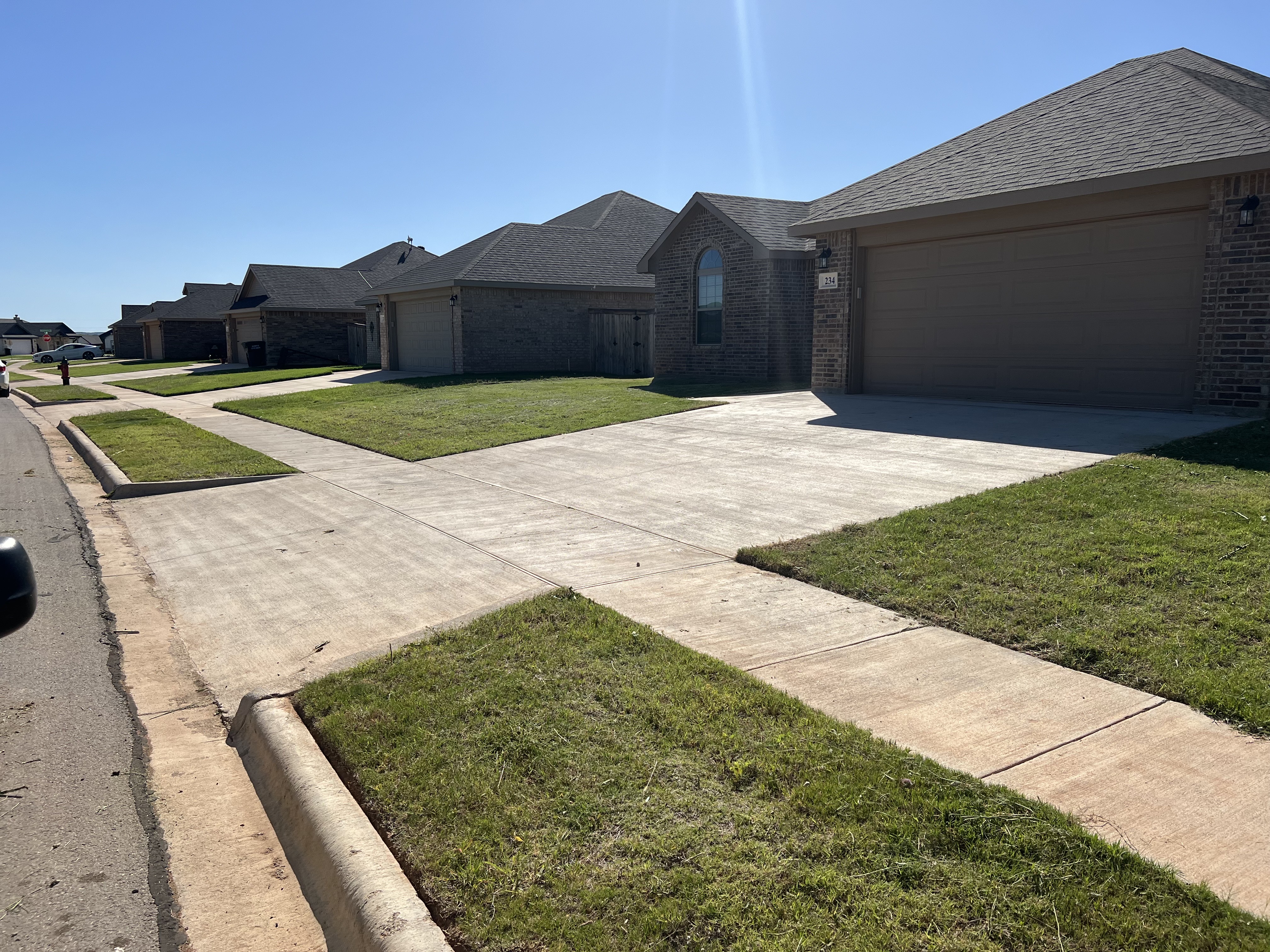 Before — overgrown yard